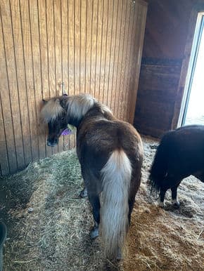 Animal bedding gallery image 1