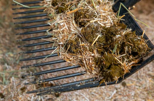 Animal bedding gallery image 4