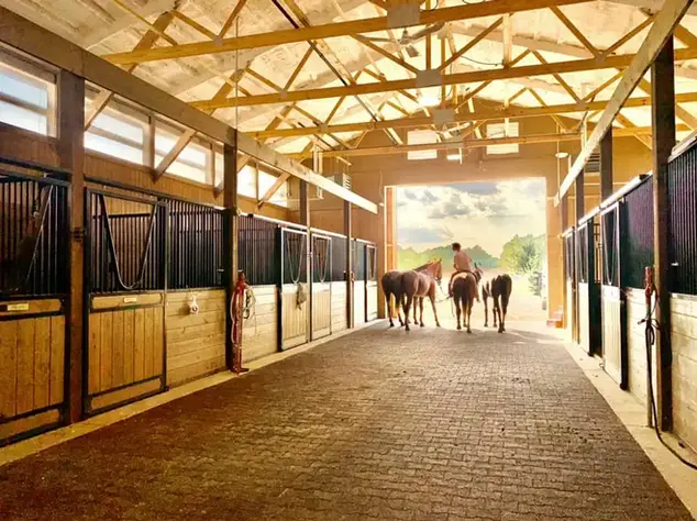 Animal bedding gallery image 7