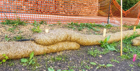 Silversoft Miscanthus used for erosion control on a slope