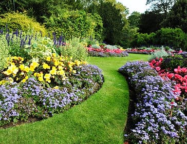Lush green garden path using Silversoft Miscanthus ground cover